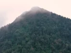 Taman Nasional Gunung Halimun Salak
