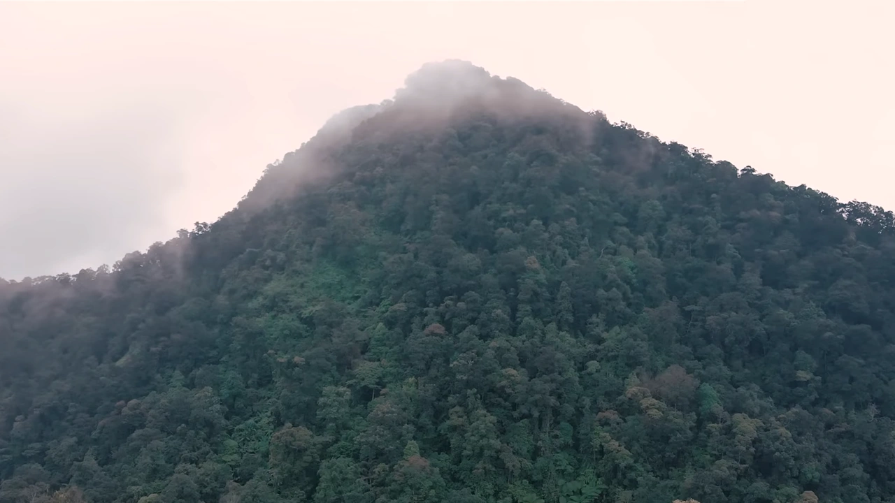 Taman Nasional Gunung Halimun Salak
