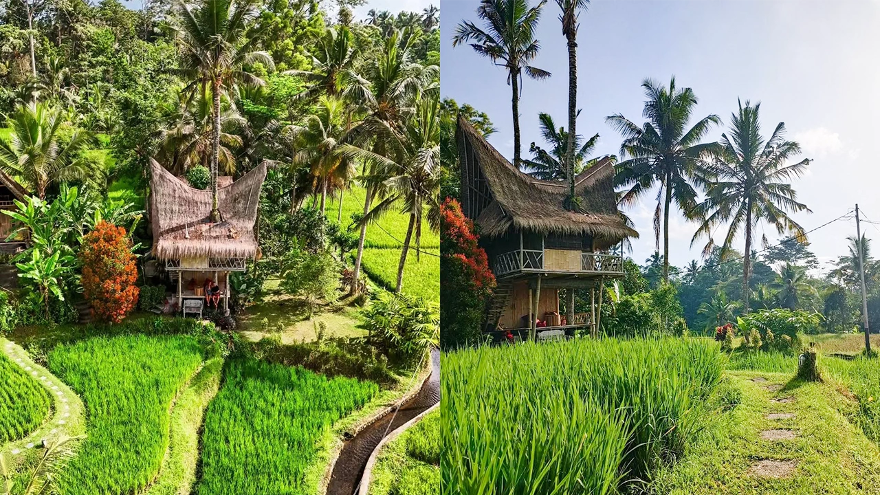 Bamboo Magical Treehouse