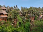 Green Village Bamboo House