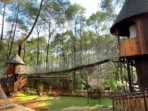 Rumah Pohon Grafika Cikole