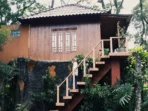 Tempat Wisata Rumah Pohon di Indonesia - Rumah Pohon Leo