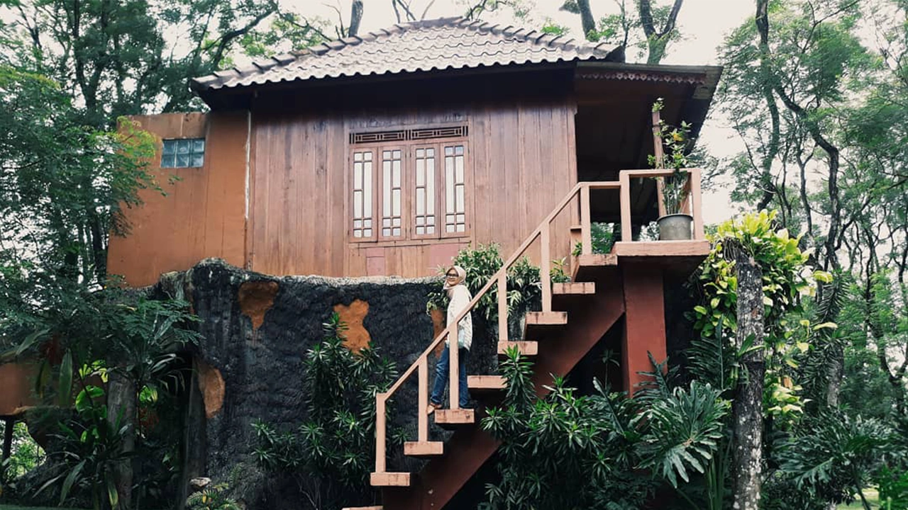 Rumah Pohon Leo