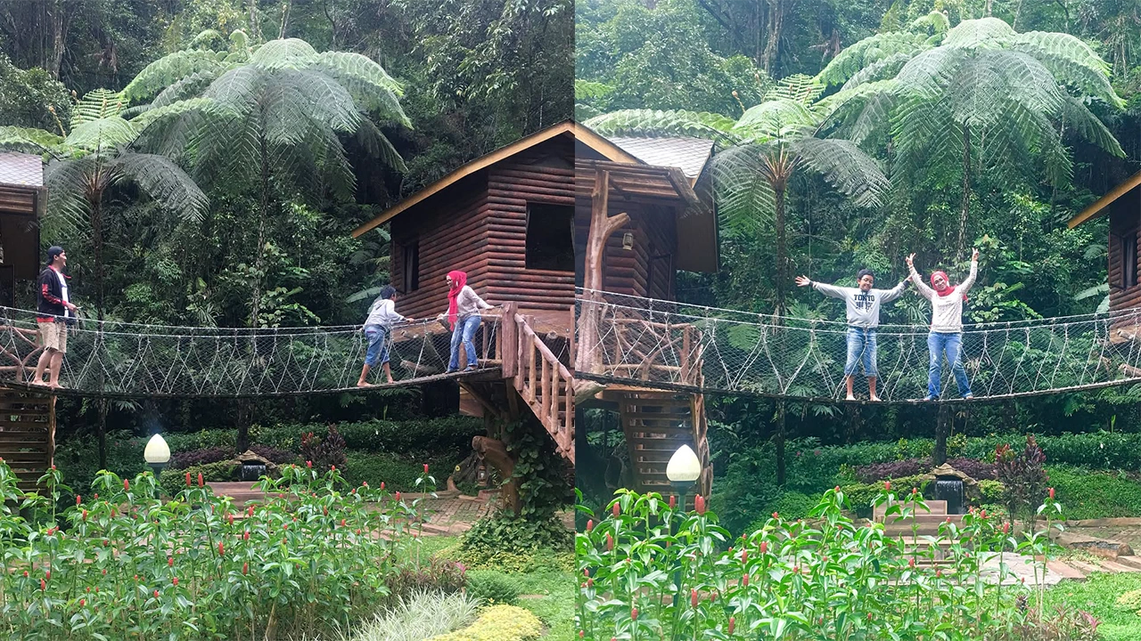 Rumah Pohon Safari Resort